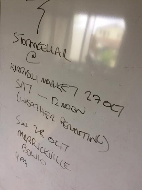 44606635_1871446152972452_2697116771852222464_n (site).jpg